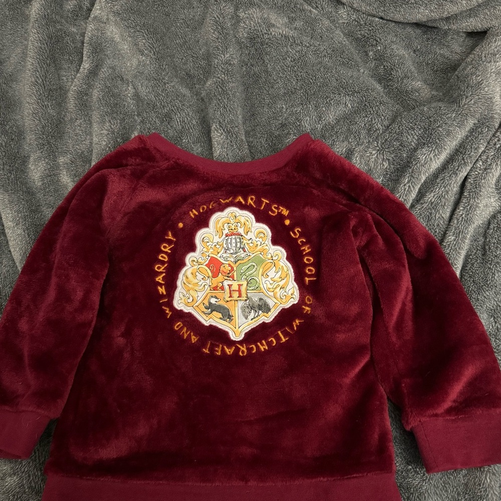 Harry Potter sweater. So soft and warm. Size 24 M